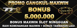 bonus maxwin viral